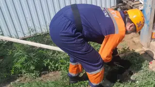 Щенка достали со дна туалета в Уральске