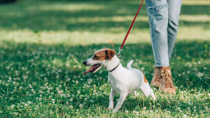Фото:depositphotos.com