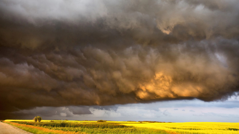 Фото:depositphotos.com