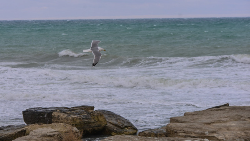 Фото ©️ Турар Казангапов