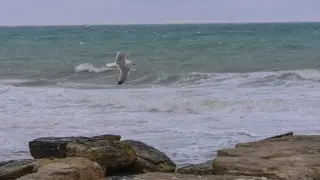 “Это тень“. Сообщения о нефтяных пятнах на Каспии прокомментировали в Минэкологии