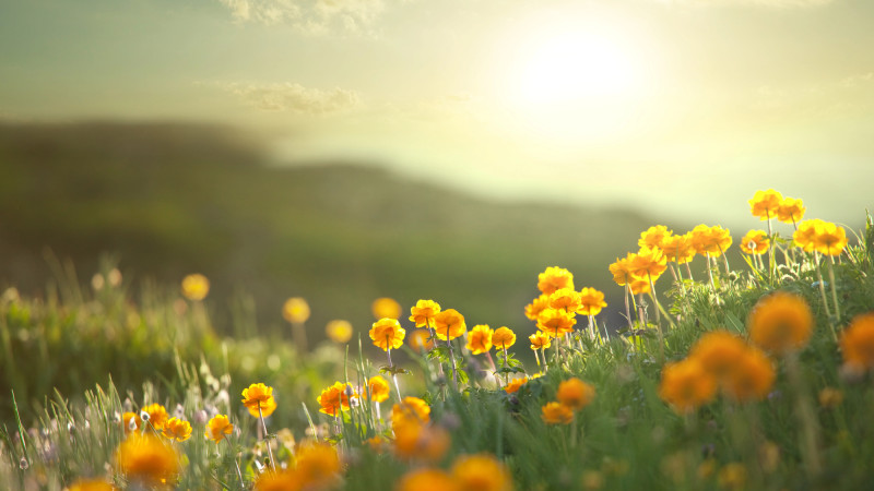 Фото:depositphotos.com