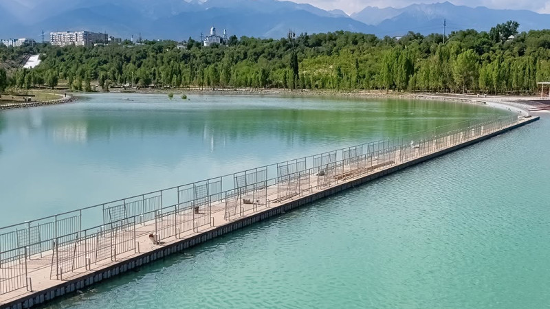 ©️ instagram/dots_foto