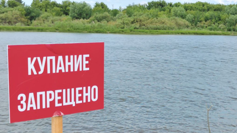 Фото ©️ Амир Абдулхаимов