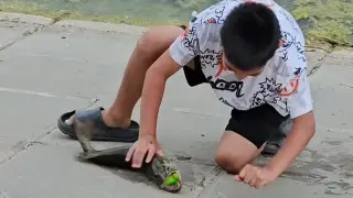 Заводские настройки рыбака: мальчики из Актобе случайно прославились в соцсетях