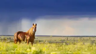 Где ожидаются ливни и шквалы? Прогноз погоды в Казахстане на 28 июня