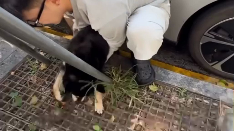 Кадры из видео