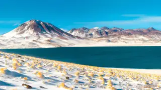 Впервые за 10 лет: в знаменитой пустыне выпал снег