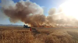 В нескольких провинциях Турции вспыхнули лесные пожары