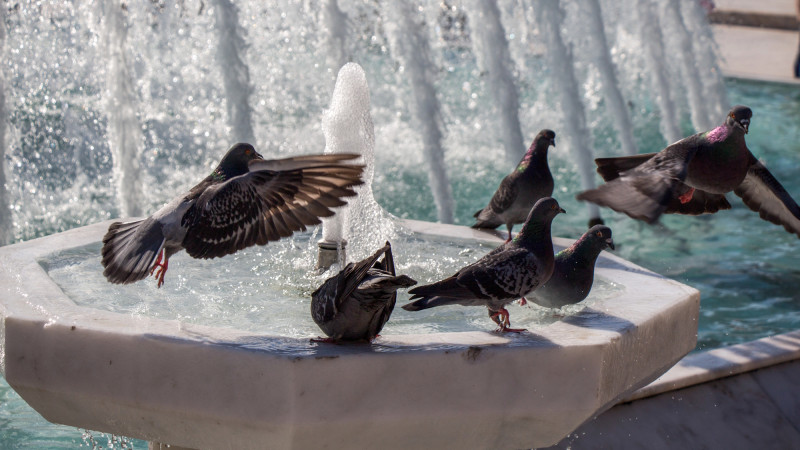 Фото:depositphotos.com