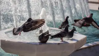 Астану и Алматы ждет испытание жарой: прогноз погоды на 3 дня