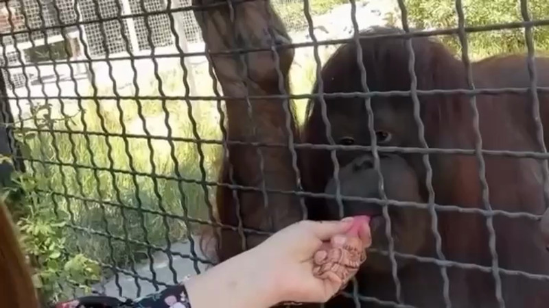 Кадры из видео