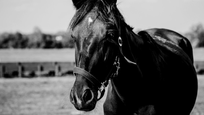 Фото: VadimVasenin/depositphotos.com