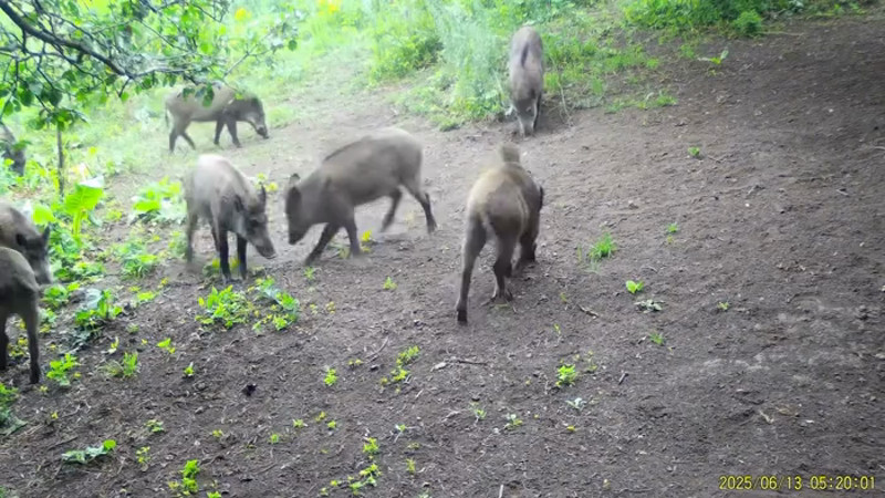 Кадры из видео