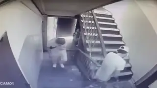 В Алматы задержали подозреваемых в квартирной краже