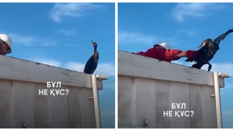 Кадры из видео