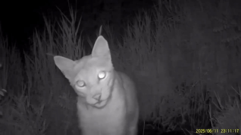 Кадры из видео