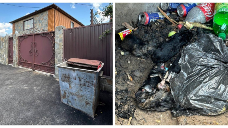 Фото предоставлены читательницей "Нашей Газеты"