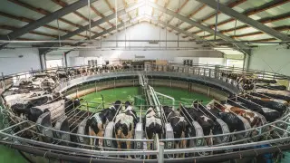 В Казахстане появится новая информационная система