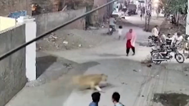 Кадры из видео