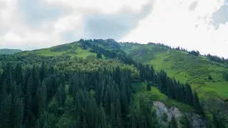 Масштабные поиски в горах Алматы: подросток ушел 2 июля и не вернулся