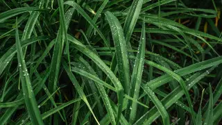 Дожди и грозы накроют Казахстан: где ждать непогоды 11 июля