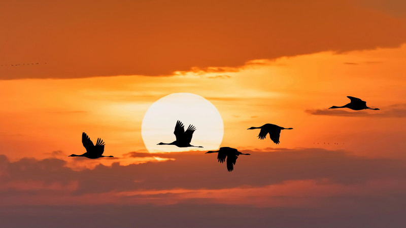 Фото:depositphotos.com