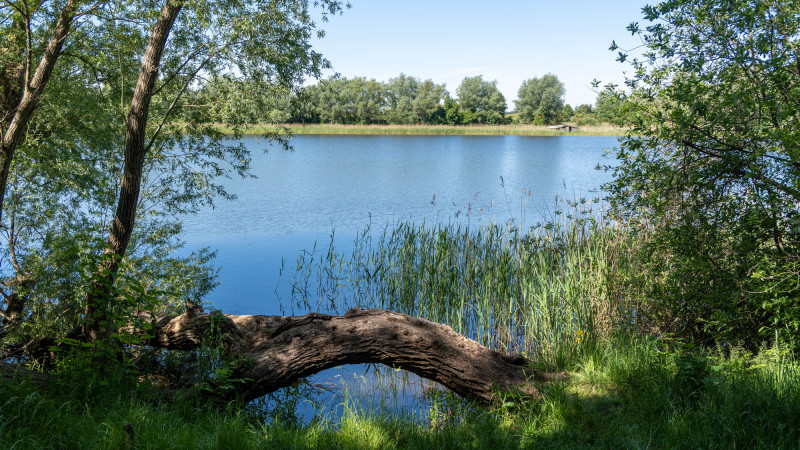 Фото:depositphotos.com