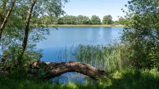 Накроет дождем или зноем? Какая погода ждет Астану и Алматы в ближайшие дни