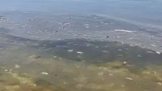 Жители Актау заметили масляные пятна и мусор на поверхности моря