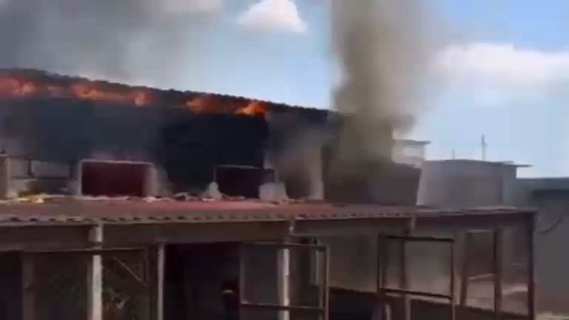 Кадры из видео