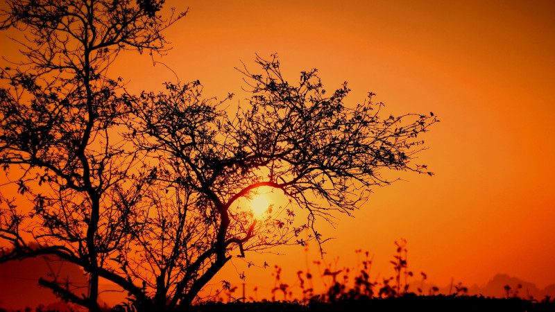 Фото:depositphotos.com