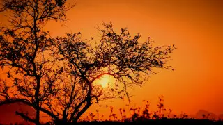 Накроет сильная жара: прогноз для Астаны и Алматы с 15 по 17 июля