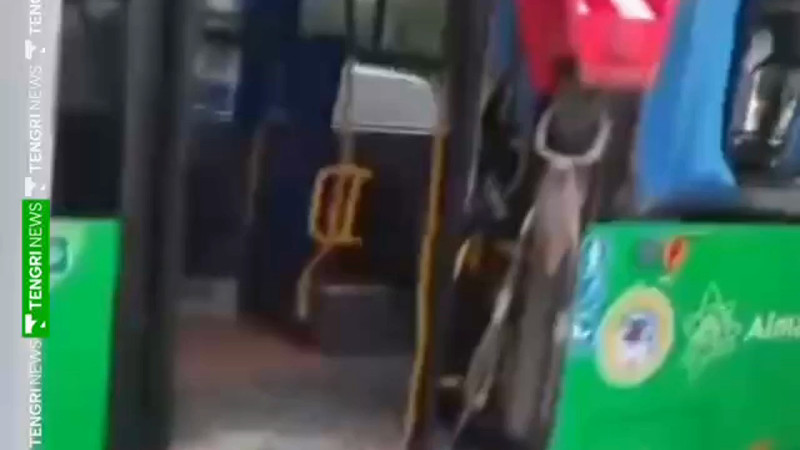 Кадры из видео