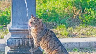 Гроза и 38-градусная жара: погода в Астане и Алматы на 3 дня