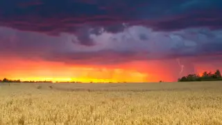 До +42 и грозы с градом: какой будет погода в Казахстане 16 июля