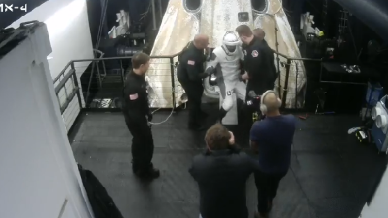 Кадр из видео: x.com/SpaceX