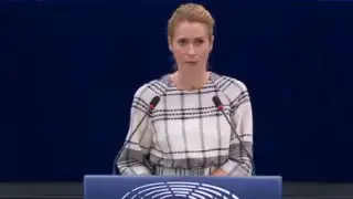 Представитель ЕС считает, что США должны разделить “бремя поставок оружия“ в Украину