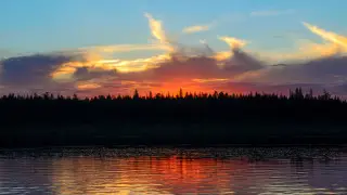 Генетики доказали, что родина венгерского, финского и эстонского языков находится на территории Якутии