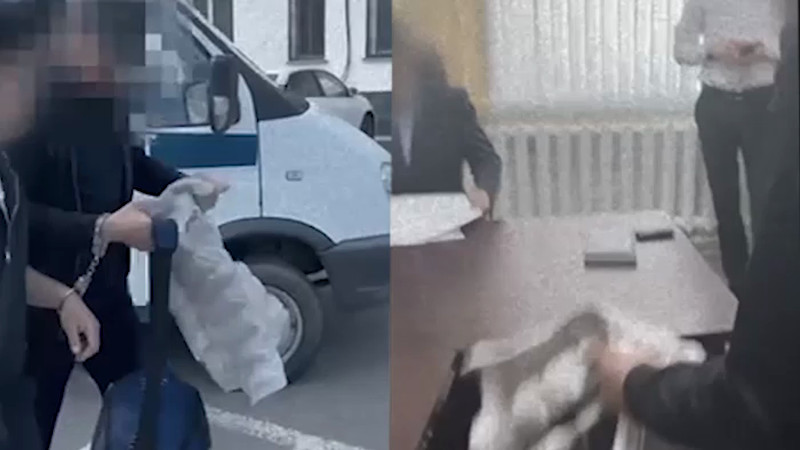 Кадры из видео