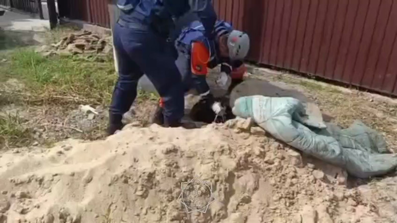 Кадры из видео