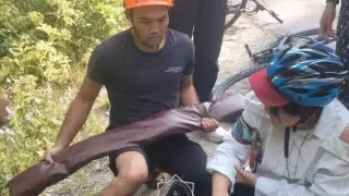 Еще одну иностранную туристку с травмой эвакуировали казахстанские спасатели