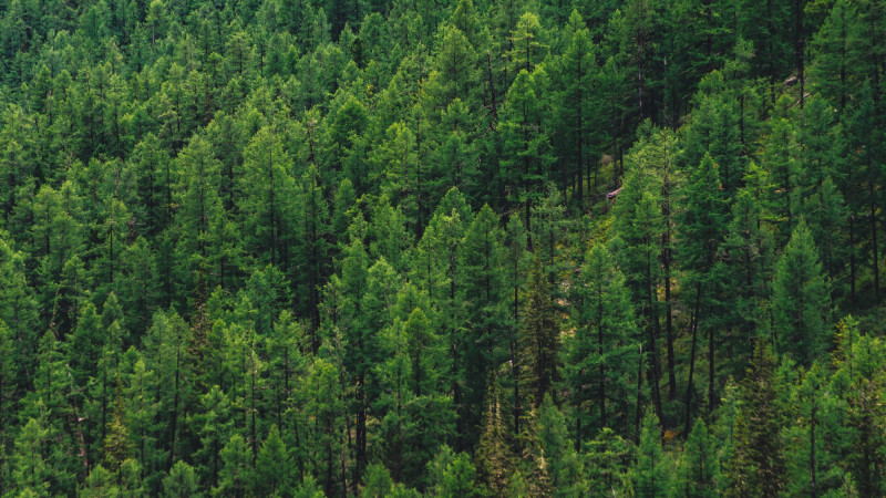 Фото:depositphotos.com