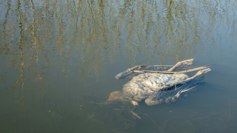 Иллюстративное фото:depositphotos.com