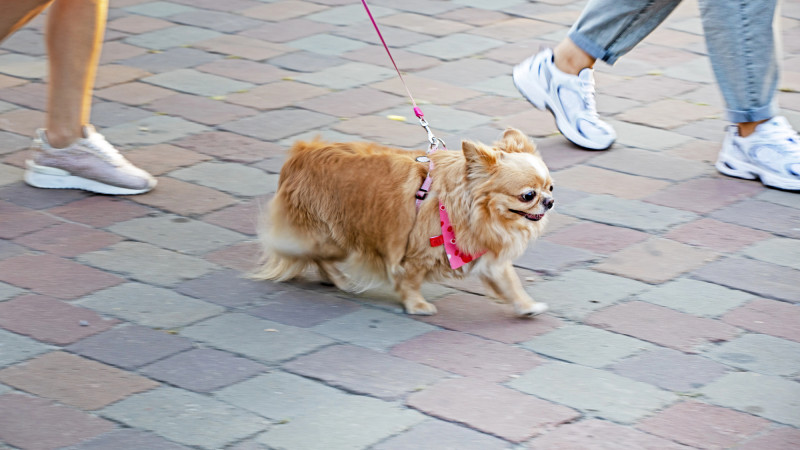 Фото:depositphotos.com