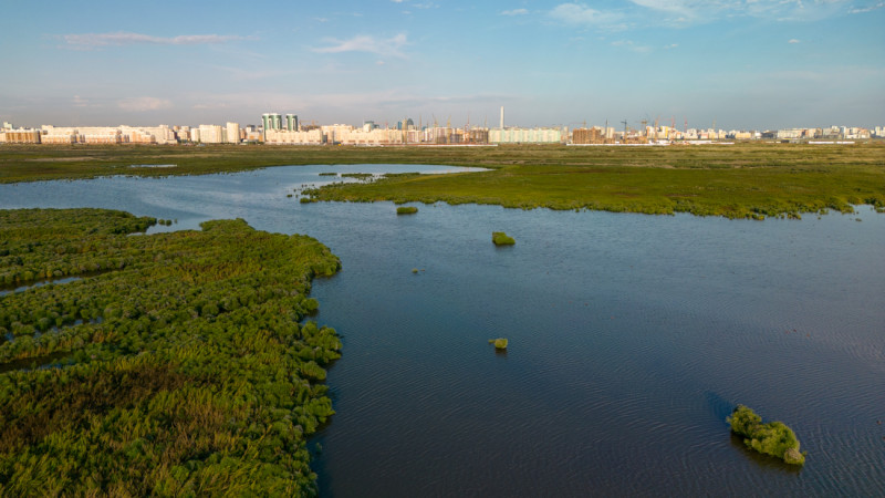 Фото ©️ Tengrinews.kz / Турар Казангапов