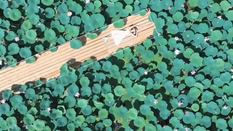 Кадры из видео