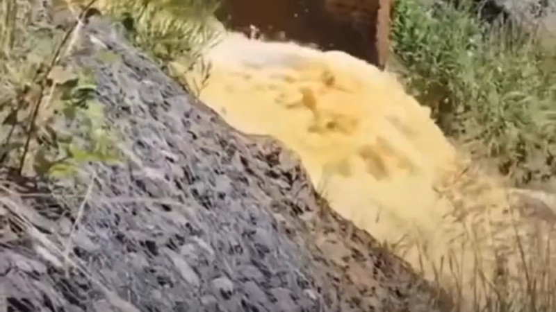 Кадры из видео