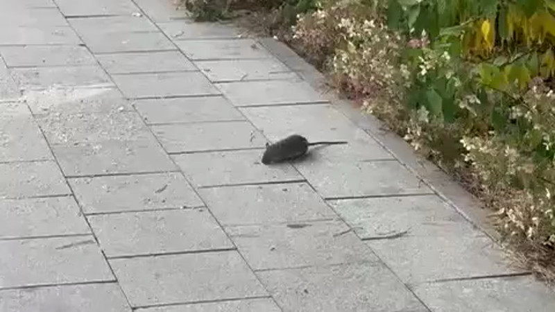 Кадры из видео