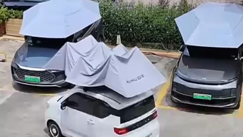 Кадры из видео